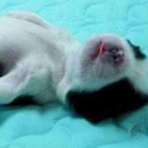 Meet your Posher, Karen